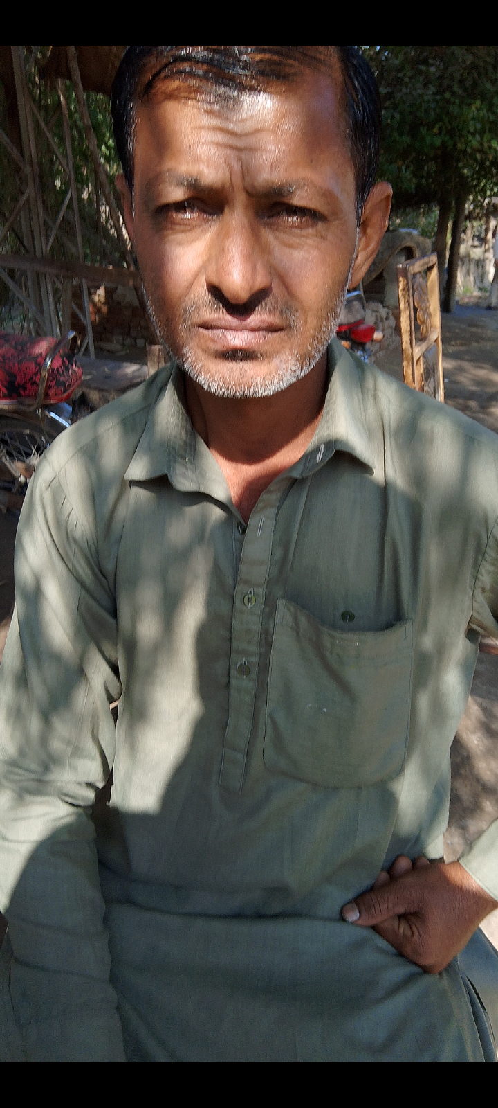 Bashir