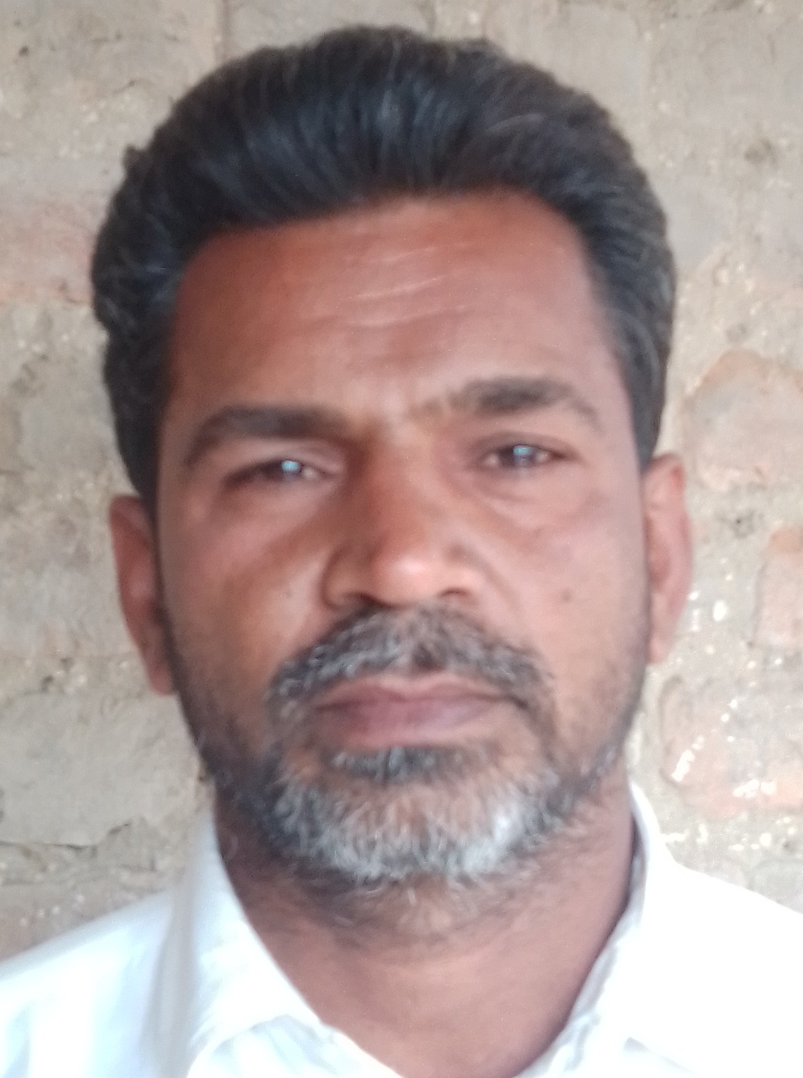 Sajjad Ali